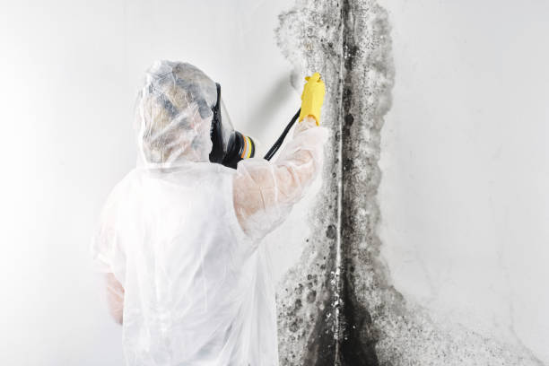 Best Emergency water damage restoration  in Richland, WA