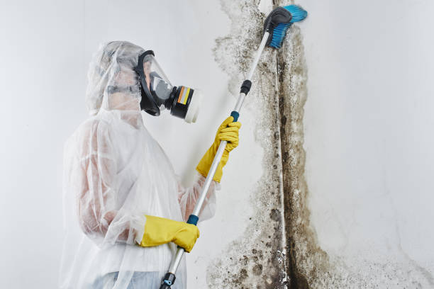 Best Sewage cleanup and water damage restoration  in Richland, WA