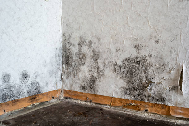 Best Ceiling water damage repair  in Richland, WA